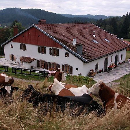 Appartement La Timoniere Gerardmer Exterior photo