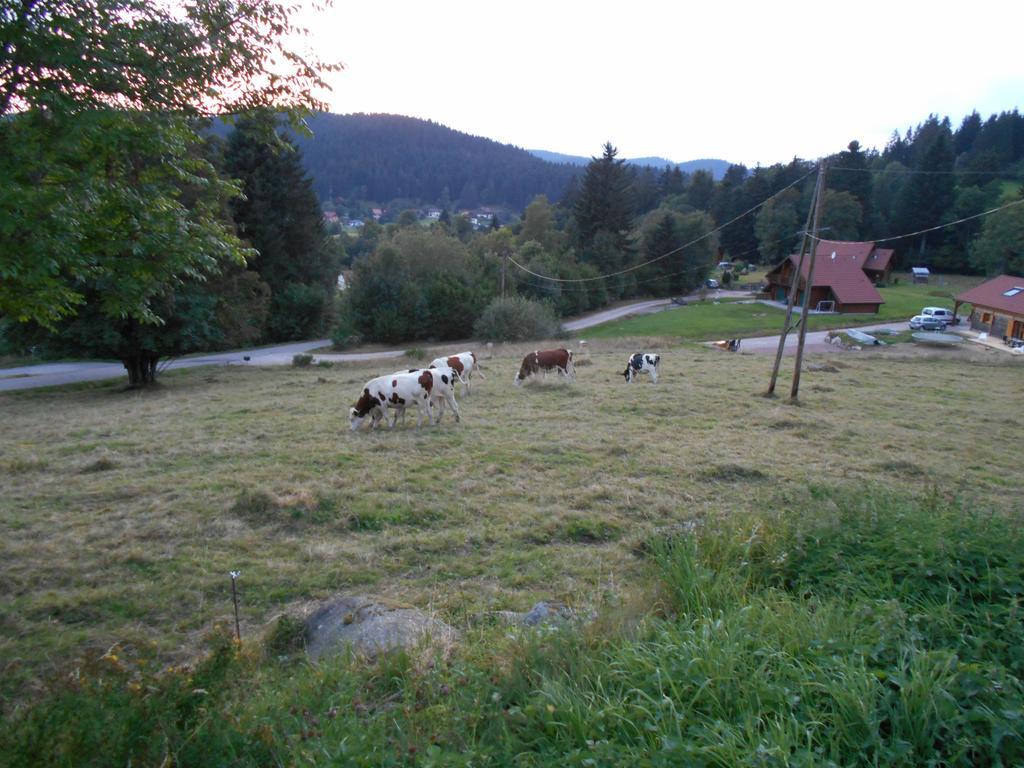 Appartement La Timoniere Gerardmer Exterior photo