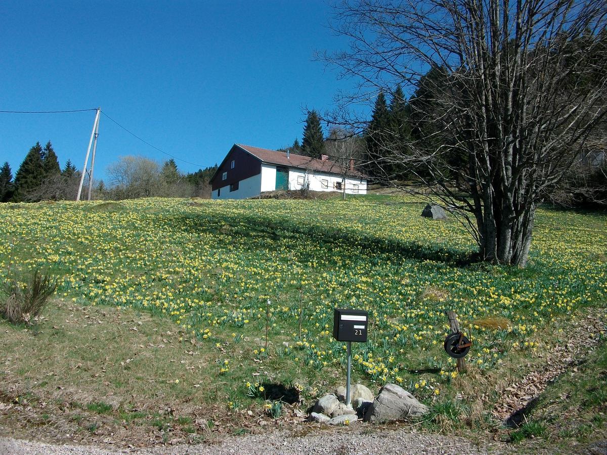 Appartement La Timoniere Gerardmer Exterior photo