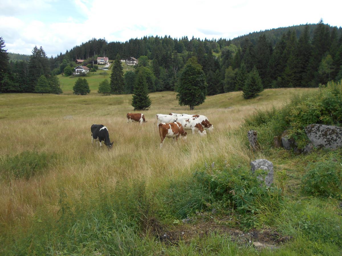 Appartement La Timoniere Gerardmer Exterior photo